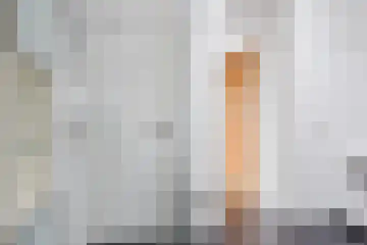 't Leantsje 12 Gorredijk thumbnail 18