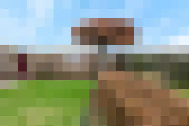 't Leantsje 12 Gorredijk thumbnail 25