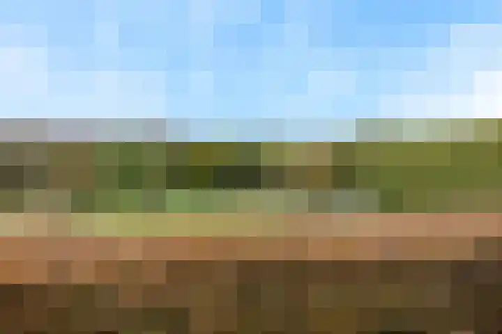 't Leantsje 12 Gorredijk thumbnail 26