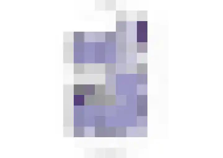 't Leantsje 12 Gorredijk thumbnail 29