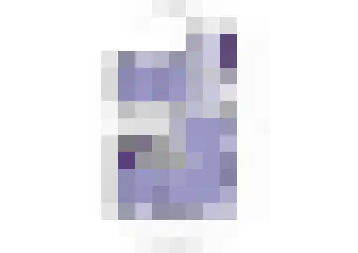 't Leantsje 12 Gorredijk thumbnail 32