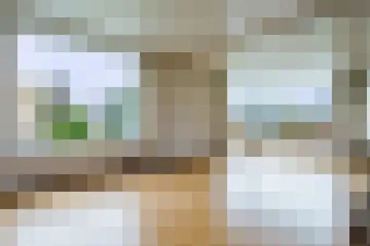 't Leantsje 12 Gorredijk thumbnail 9
