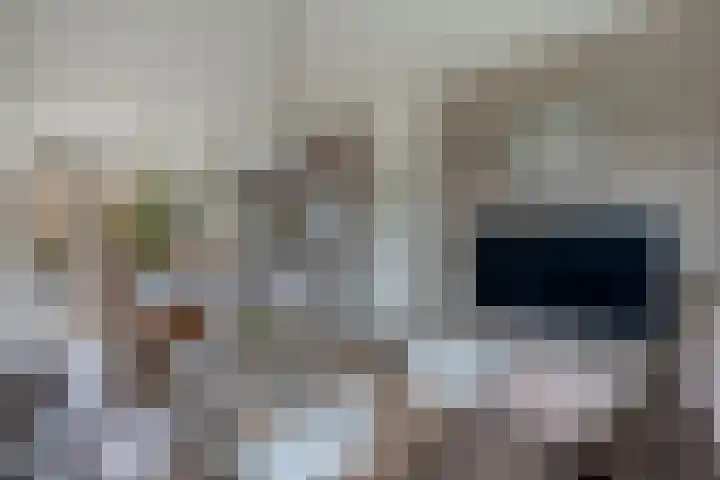 't Leantsje 57 Gorredijk thumbnail 10