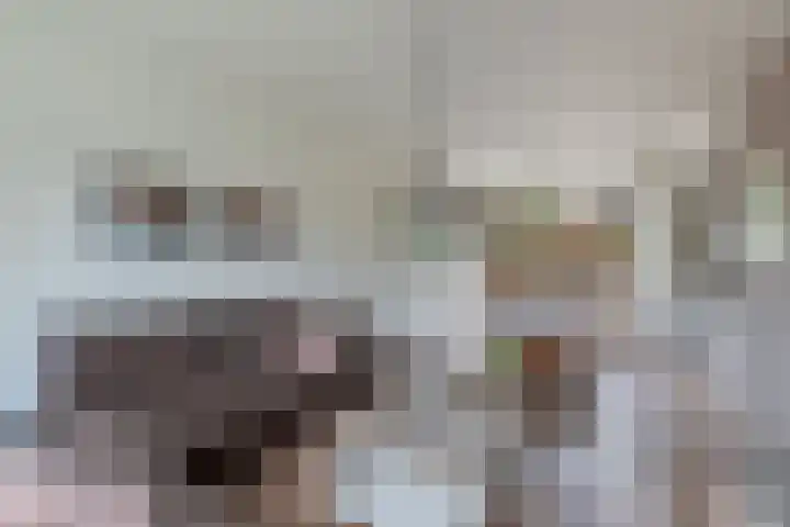 't Leantsje 57 Gorredijk thumbnail 11