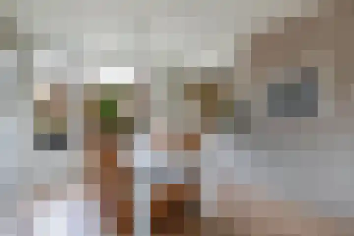't Leantsje 57 Gorredijk thumbnail 13