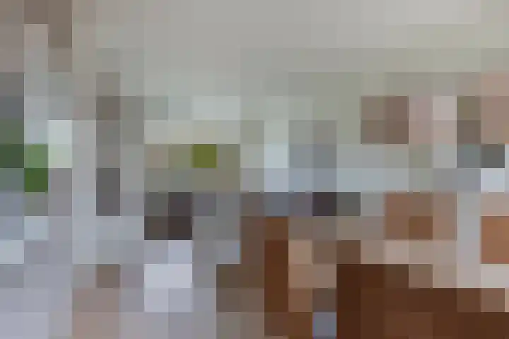 't Leantsje 57 Gorredijk thumbnail 14