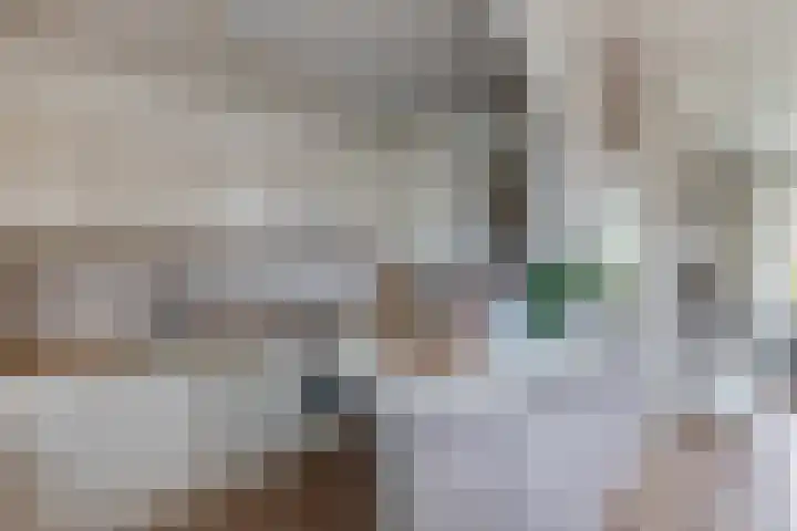 't Leantsje 57 Gorredijk thumbnail 15