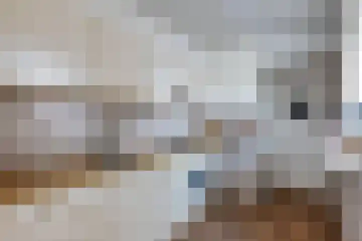 't Leantsje 57 Gorredijk thumbnail 16