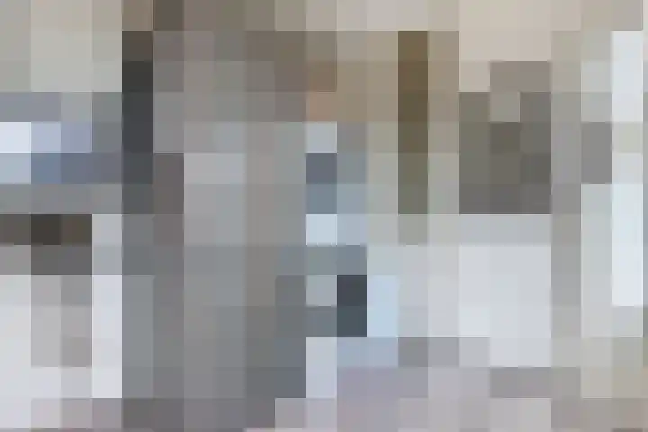 't Leantsje 57 Gorredijk thumbnail 18