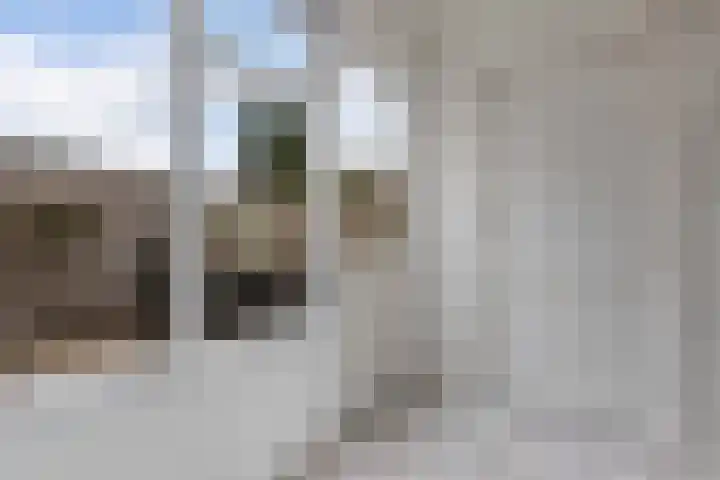 't Leantsje 57 Gorredijk thumbnail 19