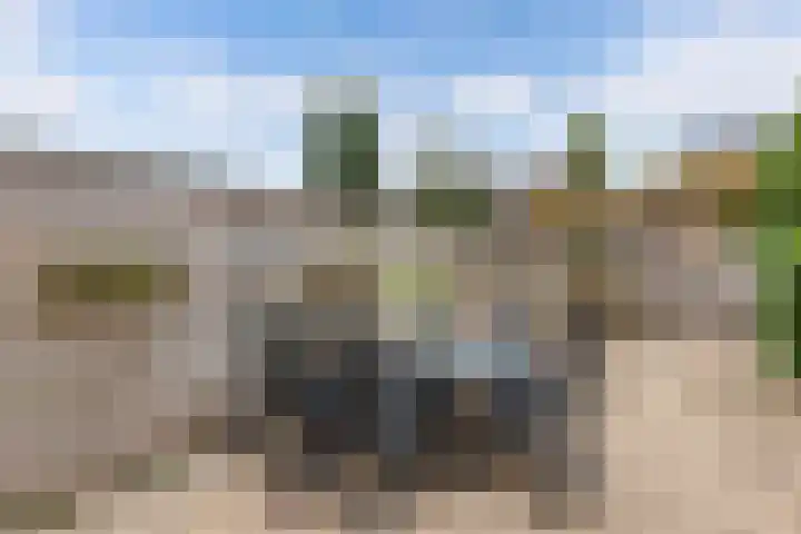 't Leantsje 57 Gorredijk thumbnail 20