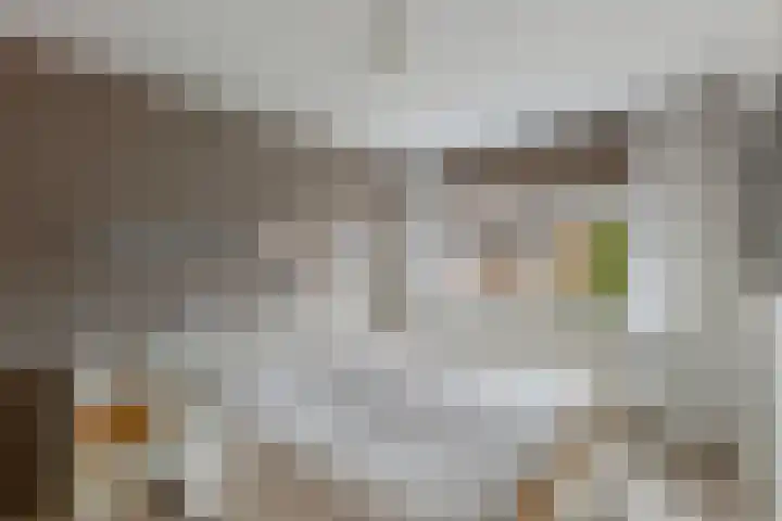 't Leantsje 57 Gorredijk thumbnail 28