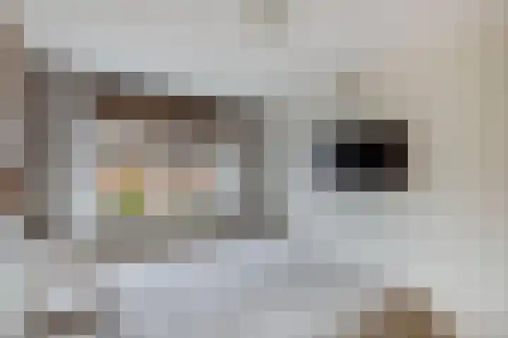 't Leantsje 57 Gorredijk thumbnail 29
