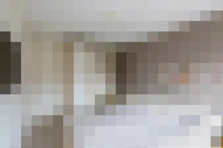 't Leantsje 57 Gorredijk thumbnail 30