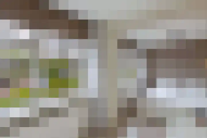 't Leantsje 57 Gorredijk thumbnail 32