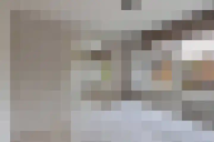 't Leantsje 57 Gorredijk thumbnail 33