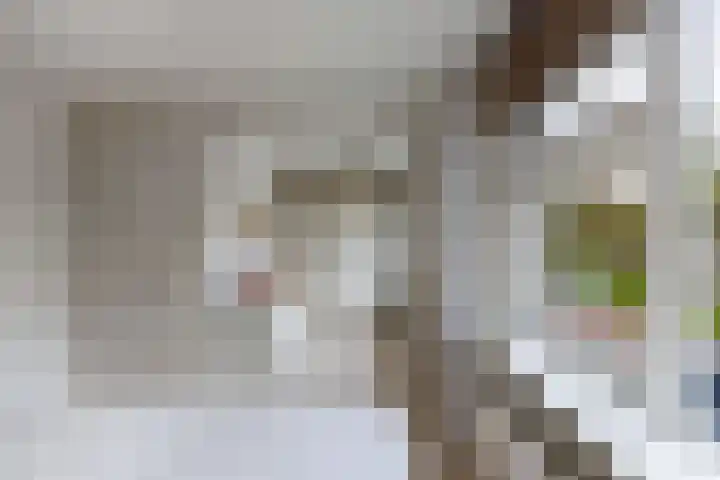 't Leantsje 57 Gorredijk thumbnail 34