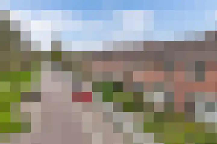 't Leantsje 57 Gorredijk thumbnail 40