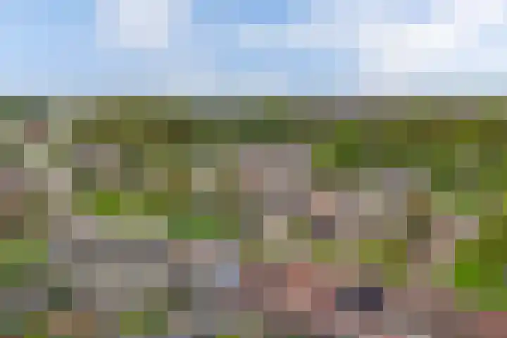 't Leantsje 57 Gorredijk thumbnail 41