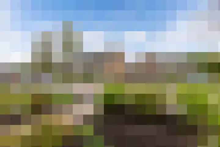 't Leantsje 57 Gorredijk thumbnail 6