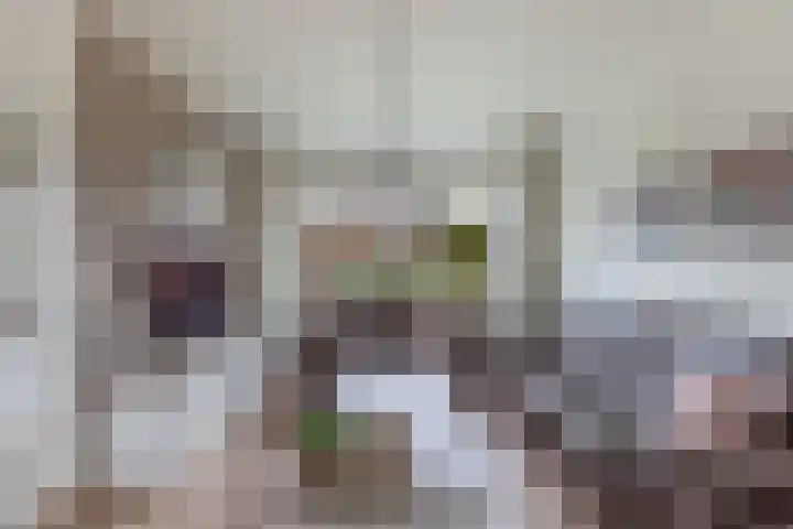 't Leantsje 57 Gorredijk thumbnail 9