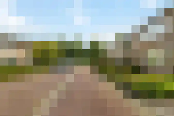 't Leantsje 62 Gorredijk thumbnail 10