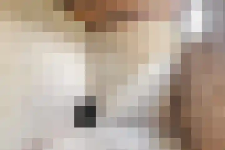 't Leantsje 62 Gorredijk thumbnail 19