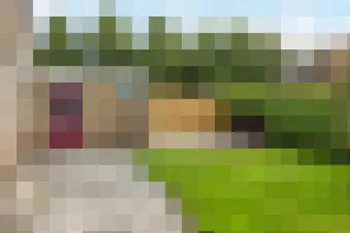 't Leantsje 62 Gorredijk thumbnail 23