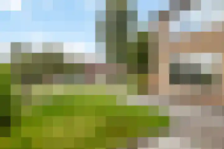 't Leantsje 62 Gorredijk thumbnail 24