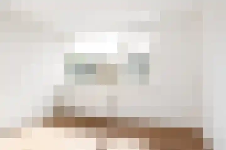 't Leantsje 62 Gorredijk thumbnail 31