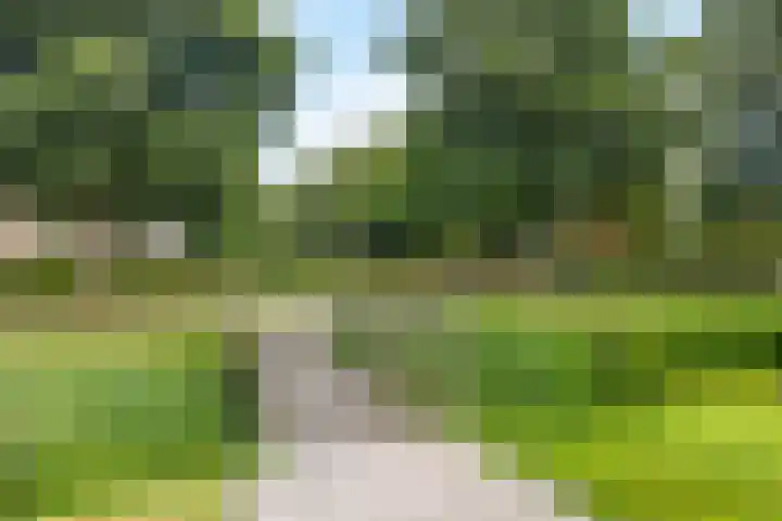 't Leantsje 62 Gorredijk thumbnail 5