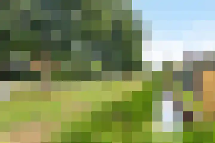 't Leantsje 62 Gorredijk thumbnail 6
