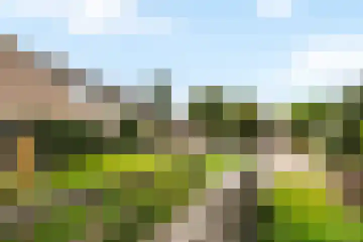 't Leantsje 62 Gorredijk thumbnail 7