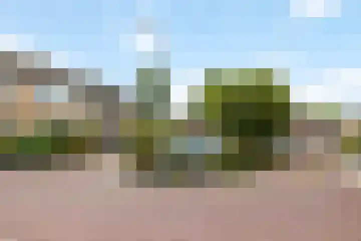 't Leantsje 62 Gorredijk thumbnail 8
