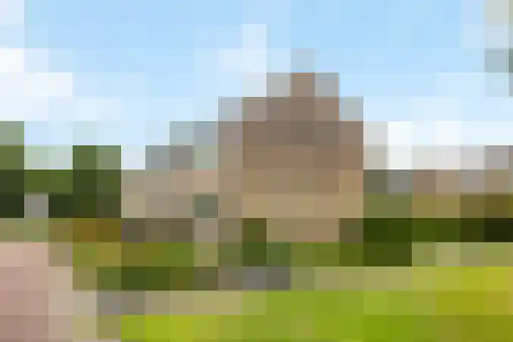 't Leantsje 62 Gorredijk thumbnail 9