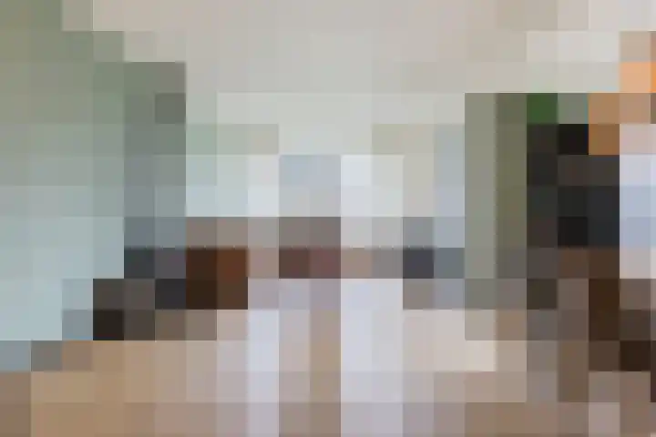 't Leantsje 90 Gorredijk thumbnail 13