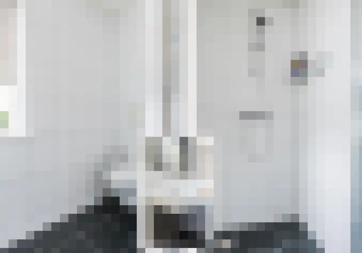 't Leantsje 90 Gorredijk thumbnail 24