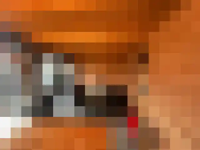 't Leantsje 90 Gorredijk thumbnail 34