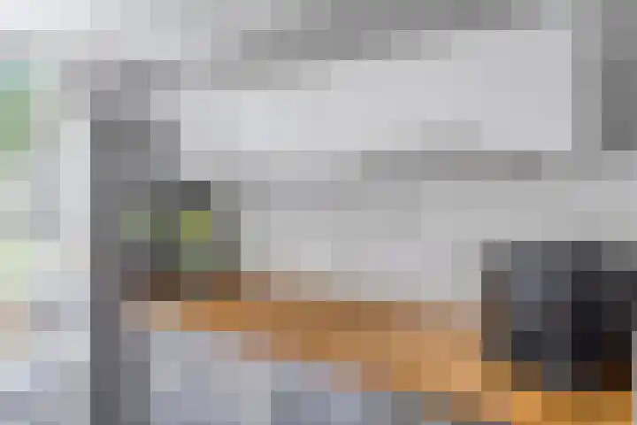 't Leemsveld 12 Helmond thumbnail 12