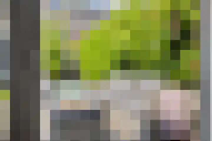 't Leemsveld 12 Helmond thumbnail 24