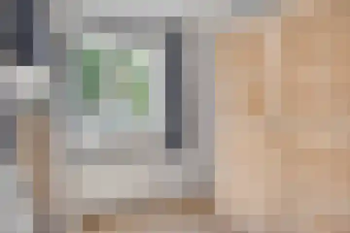 't Leemsveld 12 Helmond thumbnail 32