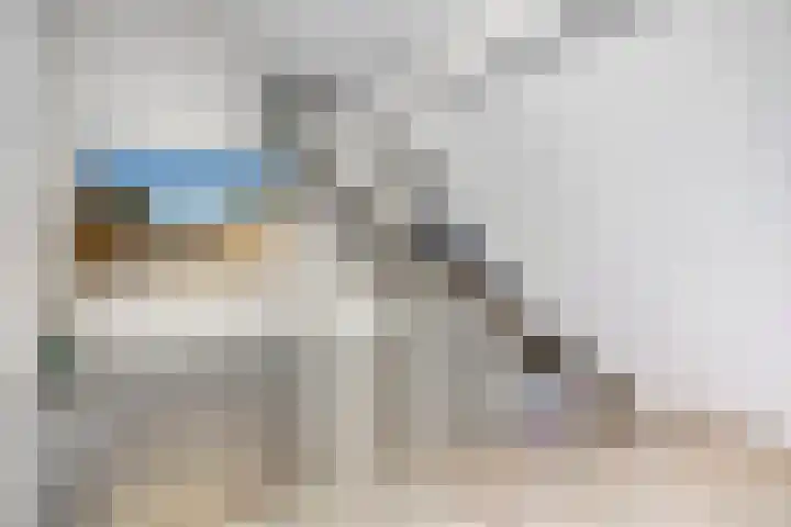 't Leemsveld 12 Helmond thumbnail 33