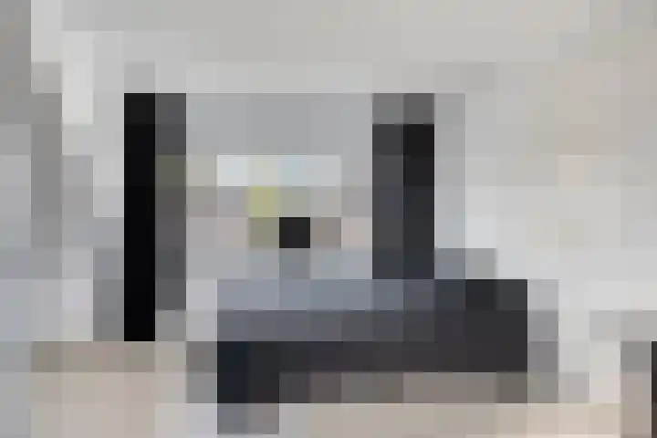 't Leemsveld 12 Helmond thumbnail 34