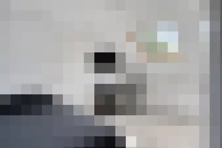 't Leemsveld 12 Helmond thumbnail 35