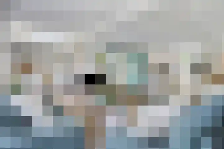 't Leemsveld 12 Helmond thumbnail 8