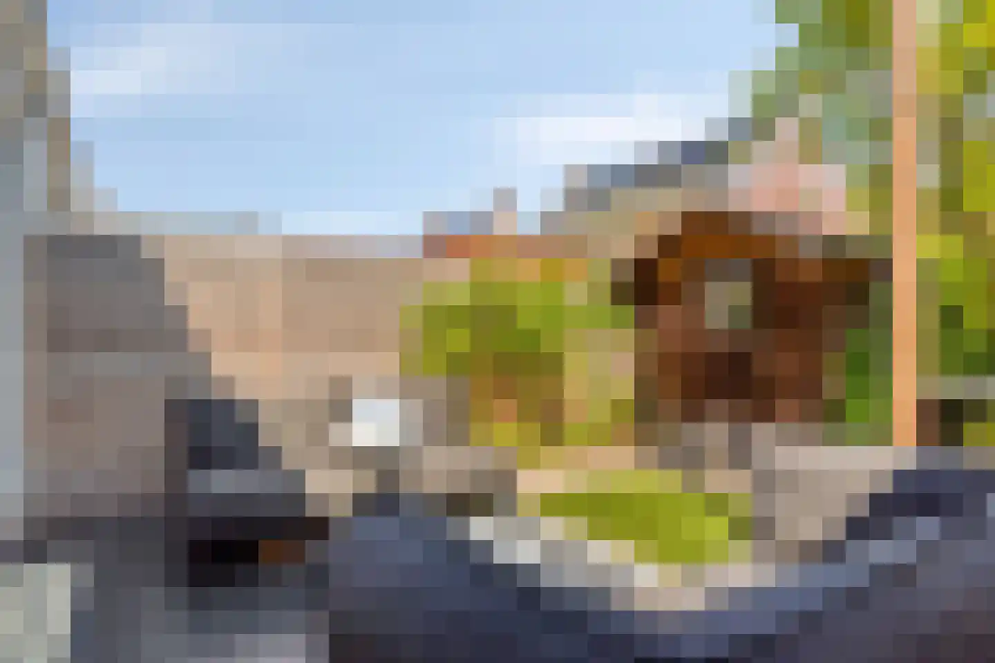 't Leemsveld 9 Helmond thumbnail 17