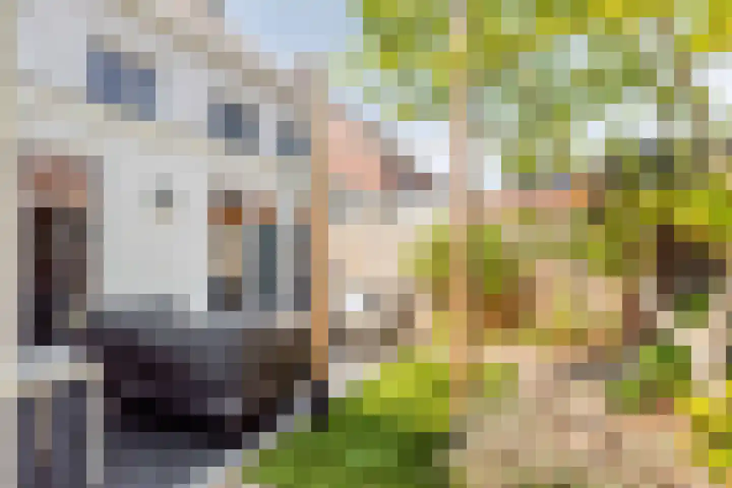 't Leemsveld 9 Helmond thumbnail 20