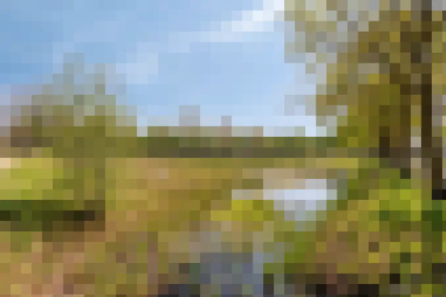't Leemsveld 9 Helmond thumbnail 38