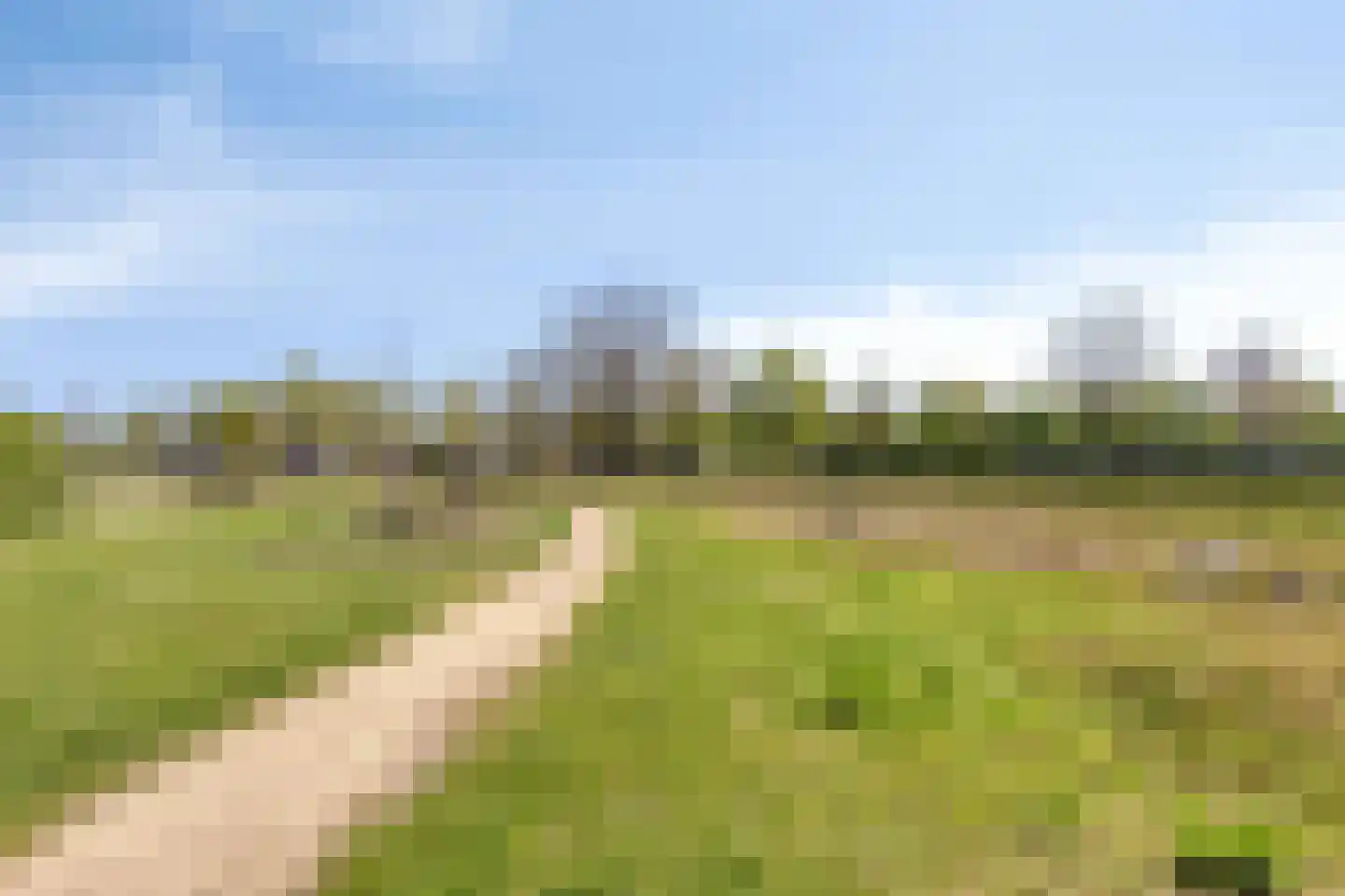 't Leemsveld 9 Helmond thumbnail 39