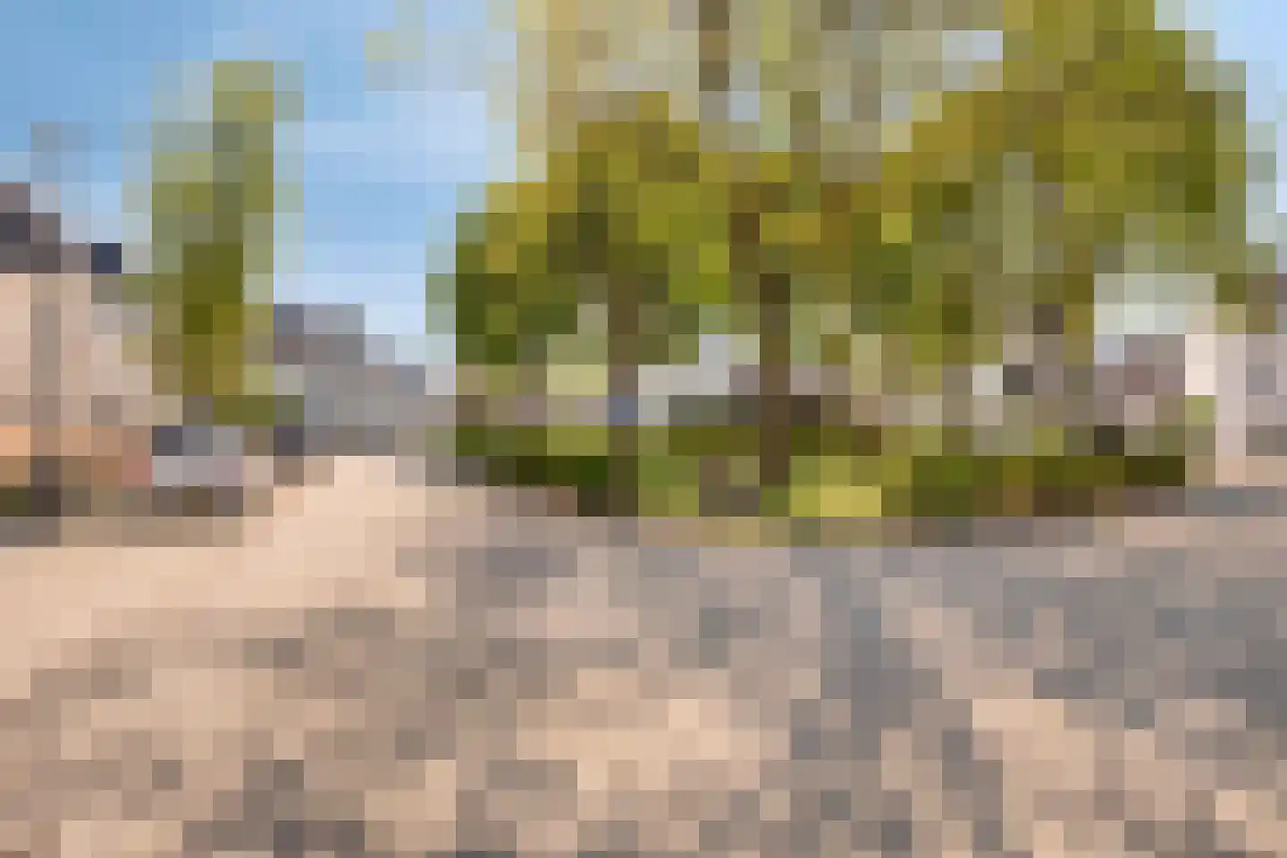 't Leemsveld 9 Helmond thumbnail 41